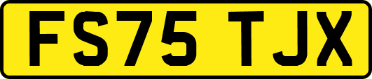 FS75TJX