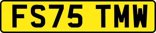 FS75TMW