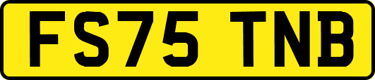 FS75TNB