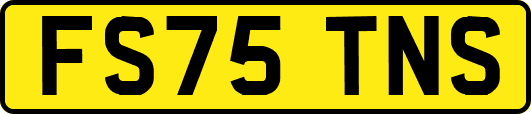 FS75TNS