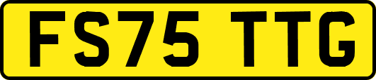 FS75TTG