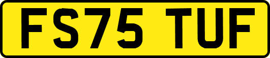 FS75TUF
