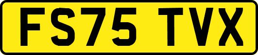 FS75TVX