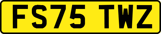 FS75TWZ