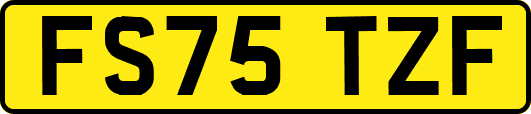 FS75TZF