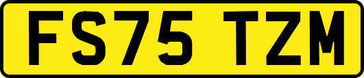 FS75TZM