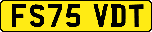 FS75VDT