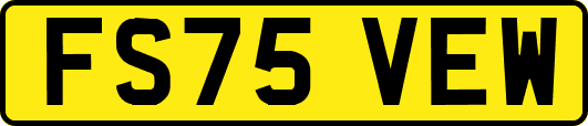 FS75VEW