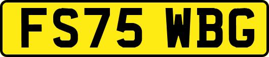 FS75WBG