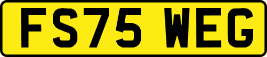 FS75WEG