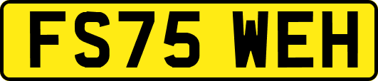 FS75WEH