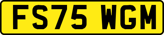 FS75WGM