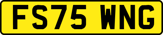 FS75WNG