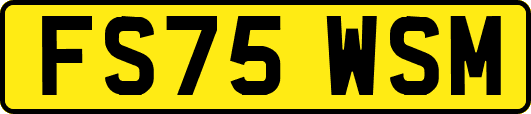 FS75WSM