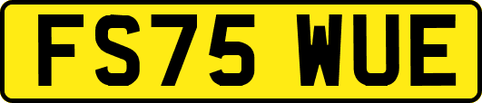 FS75WUE