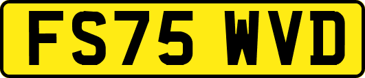 FS75WVD