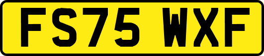 FS75WXF