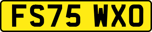 FS75WXO