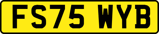 FS75WYB