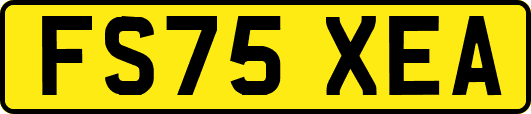 FS75XEA