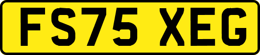 FS75XEG