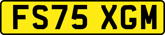 FS75XGM