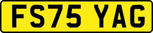 FS75YAG