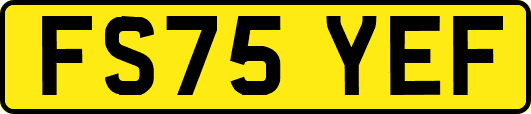 FS75YEF