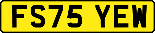FS75YEW