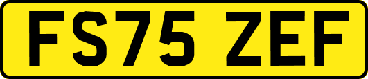 FS75ZEF
