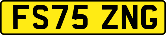 FS75ZNG