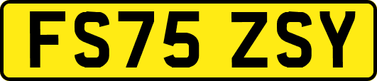 FS75ZSY