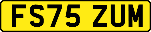 FS75ZUM