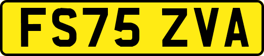 FS75ZVA