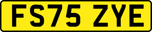 FS75ZYE