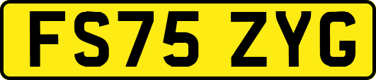 FS75ZYG