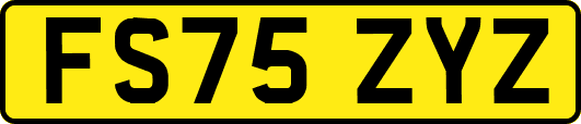 FS75ZYZ