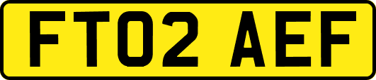 FT02AEF
