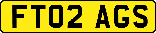 FT02AGS