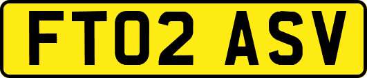 FT02ASV