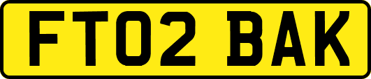 FT02BAK
