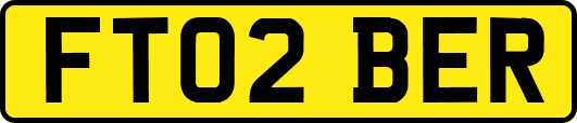 FT02BER