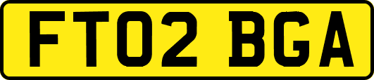FT02BGA