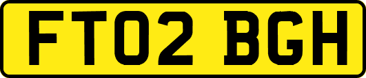 FT02BGH