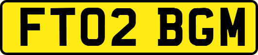 FT02BGM