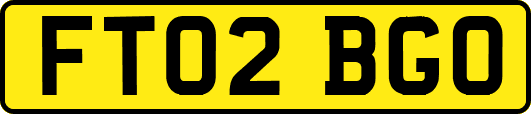 FT02BGO