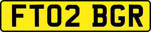 FT02BGR