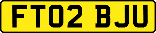 FT02BJU
