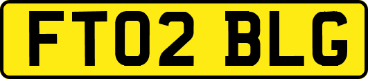 FT02BLG