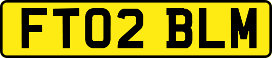 FT02BLM